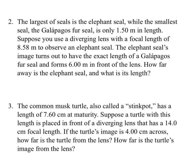 World's largest seal worksheet answer key