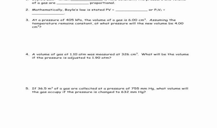 Boyle's and charles law worksheet