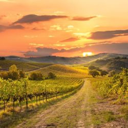 Jeffrey r holland laborers in the vineyard