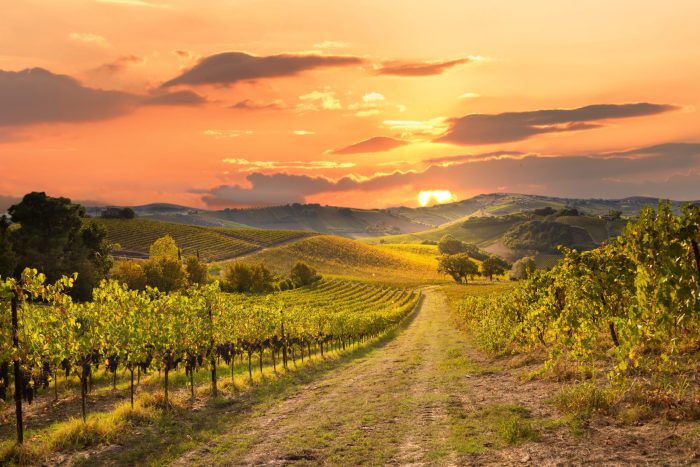 Jeffrey r holland laborers in the vineyard