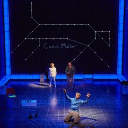 Incident curious dog night time theatre review christopher production