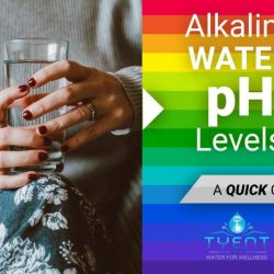 What is the active ingredient in alkaline permanents