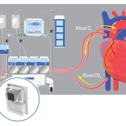 Pressure blood sensor infineon modules ready measurement running fitness collaboration suffer why algorithms monitors use build using fatigue after press