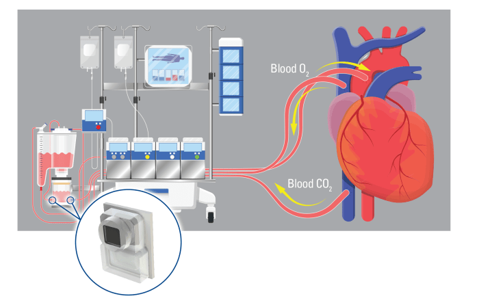 Pressure blood sensor infineon modules ready measurement running fitness collaboration suffer why algorithms monitors use build using fatigue after press