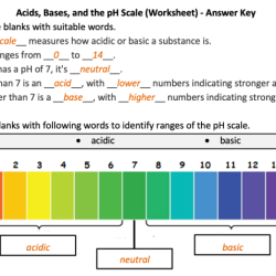 Acids bases and the ph scale worksheet answer key