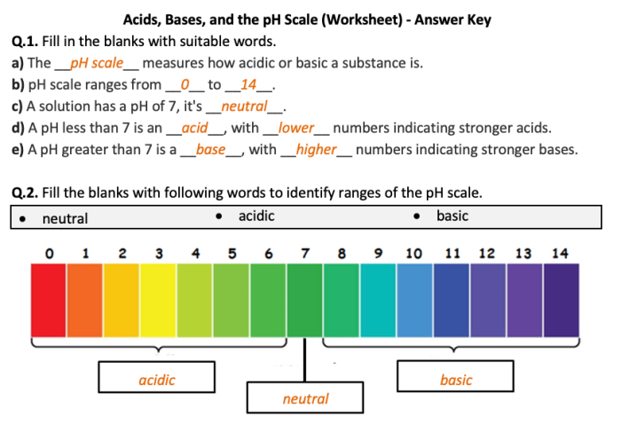 Acids bases and the ph scale worksheet answer key