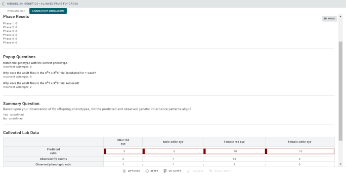 Genetics linked worksheet genes simple trait excel db red