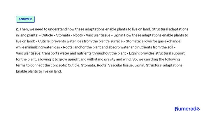 Connecting the concepts structural adaptations in land plants