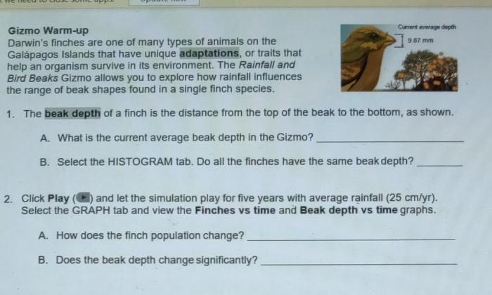 Student exploration: rainfall and bird beaks