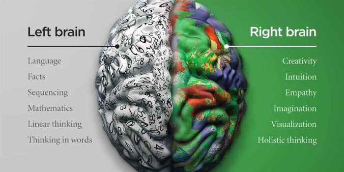 Hemispheres 3.0 stroke competency series answers