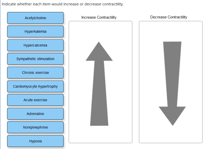 Indicate whether each item would increase or decrease contractility