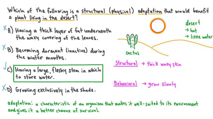 Connecting the concepts structural adaptations in land plants